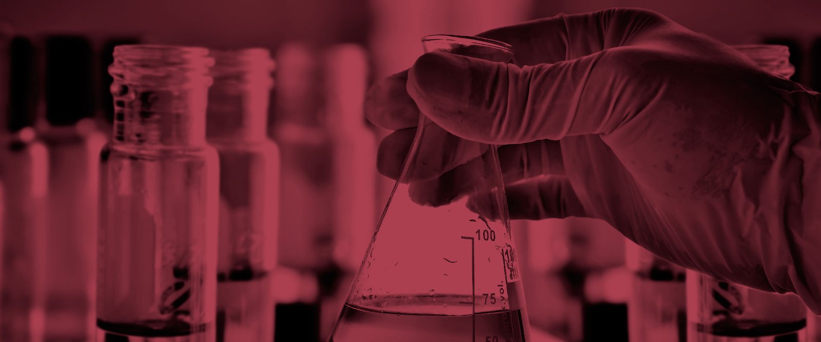 Investigación y Ciencia