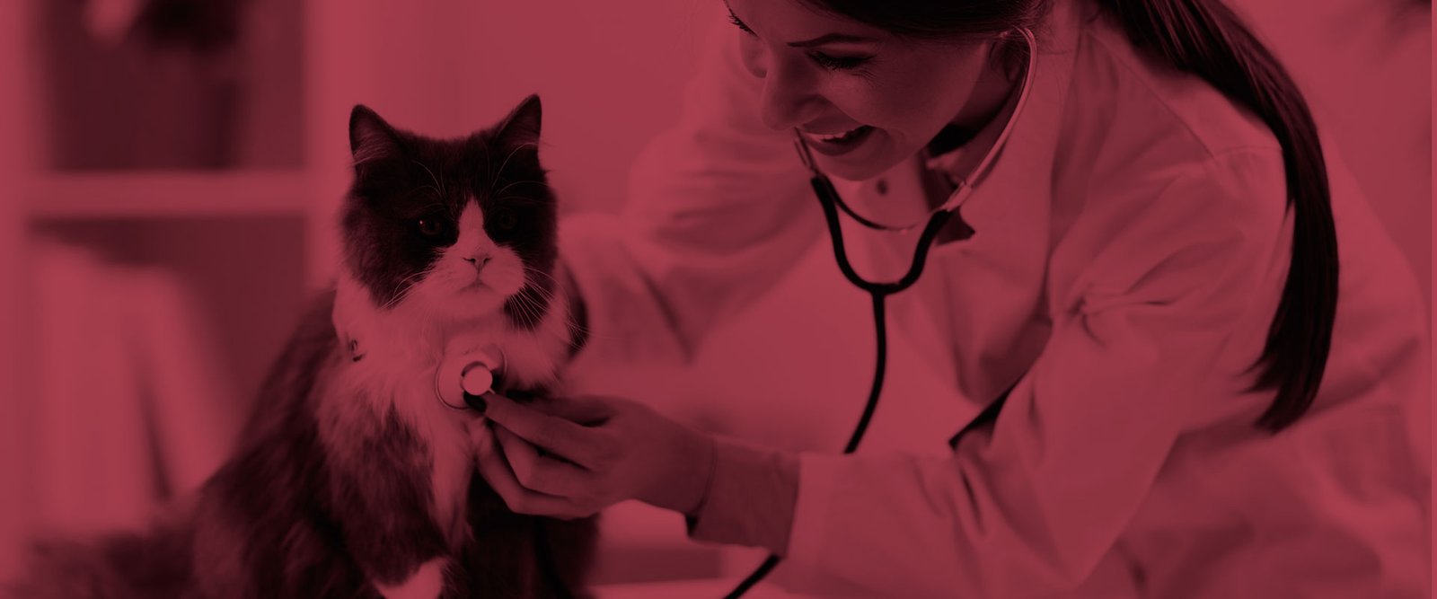 Medicina Veterinaria