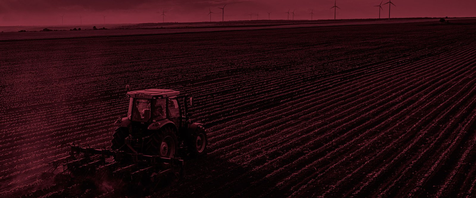 Agronomía, Veterinaria y Afines