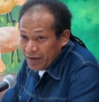 Autor Ernell Villa Amaya