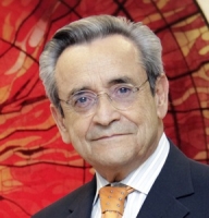 Leonel Pereznieto Castro