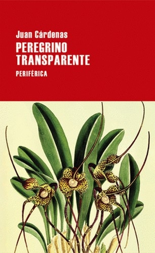 Libro: Peregrino Transparente | Autor: Juan Cárdenas | Isbn: 9789586657488