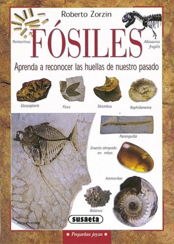 Libro: Fósiles: aprende a reconocer las huellas de nuestro pasado (pequeñas joyas) | Autor: Roberto Zorzin | Isbn: 9788430533527