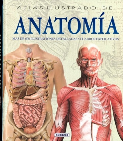 Libro: Atlas ilustrado de anatomía | Autor: Adriana Rigutti | Isbn: 9788430534784