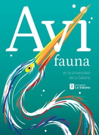 Libro: Avifauna en la universidad de la sabana | Autor: Angélica Paola Zapata Pardo | Isbn: 9789581206681
