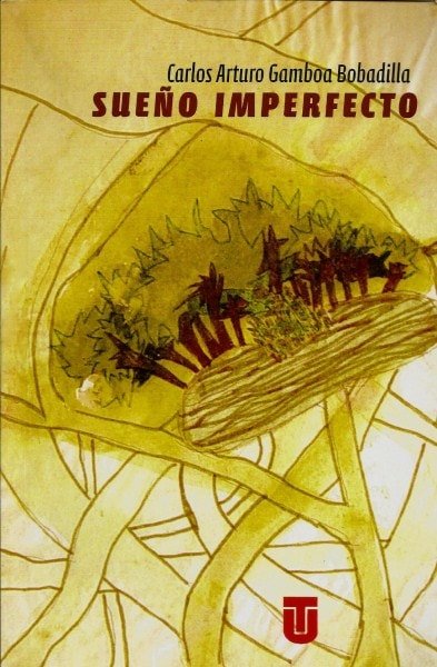 Sueño imperfecto - Carlos Arturo Gamboa Bobadilla - 9789589243466
