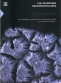 Libro: Los materiales nanoestructurados | Autor: Varios Autores | Isbn: 9786071611291