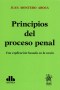 Libro: Principios del proceso penal. Una explicación basada en la razón - Autor: Juan Montero Aroca - Isbn: 9789877061512