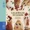 Libro: Los pollos de mi cazuela | Autor: Andres Eduardo Rico Cabanzo | Isbn: 9789587896732