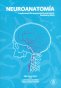 Libro: Neuroanatomía. Fundamentos de neuroanatomía estructural, funcional y clínica | Autor: Autores Varios | Isbn: 9789587759280