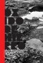Libro: Óxido de hierro | Autor: Rosario López | Isbn: 9786285031151