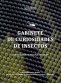 Libro: Gabinete de curiosidades de insectos | Autor: Jorge Alberto Molina Escobar | Isbn: 9789587989458