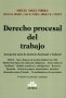 Libro: Derecho procesal del trabajo | Autor: Miguel Ángel Pirolo | Isbn: 9789877061949