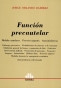 Libro: Función precautelar | Autor: Jorge Orlando Ramírez | Isbn: 9505086989