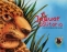 Libro: El jaguar solitario | Autor: Lolita Robles de Mora | Isbn: 9789588962139