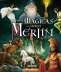 Libro: Historias mágicas del mago Merlín | Autor: Fabrice Colin | Isbn: 9788467728378
