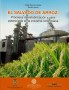 El salvado de arroz: procesos de estabilización y usos potenciales en la industria colombiana - Edgar Mauricio Vargas - 9789587250824
