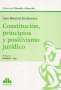 Libro: Constitución, principios y positivismo jurídico | Autor: Juan Bautista Etcheverry | Isbn: 9789877063585