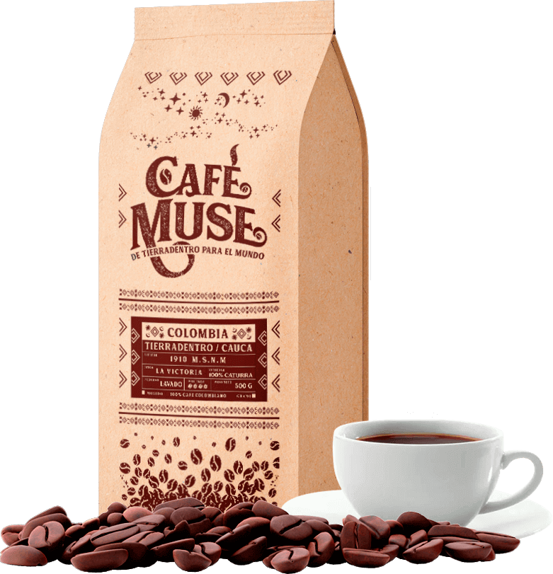 Café Muse 3D