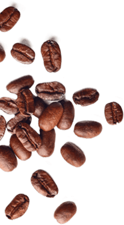 Granos Café Muse