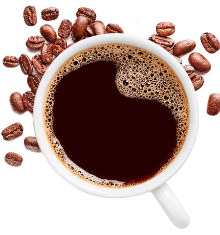 Café Muse Tinto